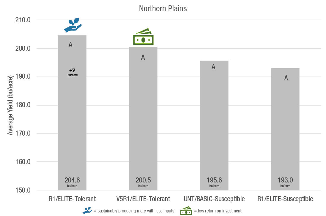 Comparison of fungicide systems trials (including seed treatments, germplasm and foliar fungicide applications) evaluated on a regional basis across the Northern Plains